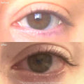 Power Fol - Multi - Correctional Eyelash & Eyebrow Serum - Maya Chia